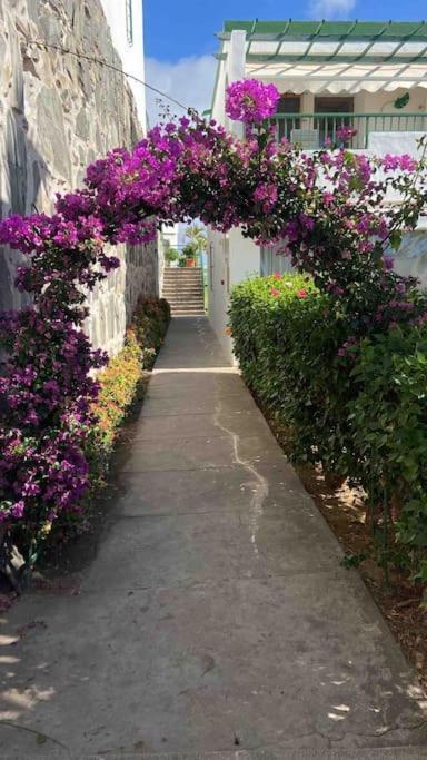 Apartamento Vista Mar En Flamboyan - San Agustin San Bartolomé Exterior foto
